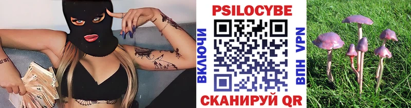 продажа наркотиков площадка Telegram Галлюциногенные грибы Magic Shrooms Ахтубинск